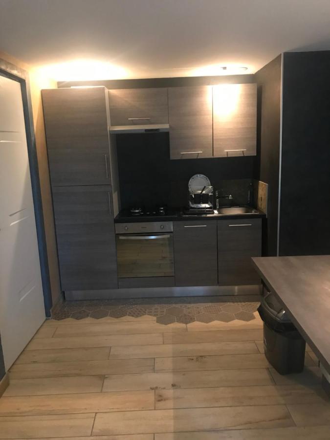 شقة ديسيزو  في F3 Bord De Loire Complet المظهر الخارجي الصورة