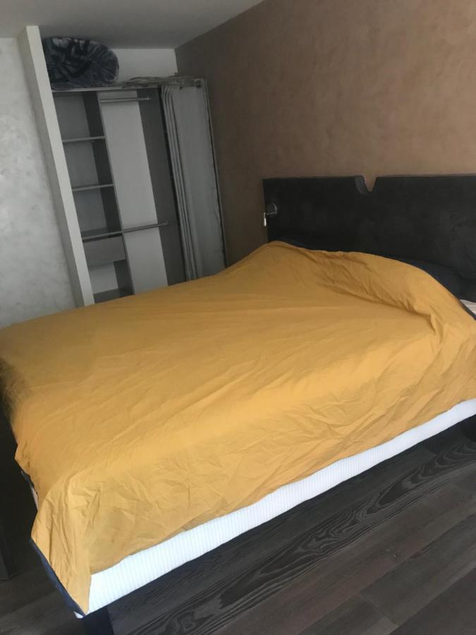 شقة ديسيزو  في F3 Bord De Loire Complet المظهر الخارجي الصورة