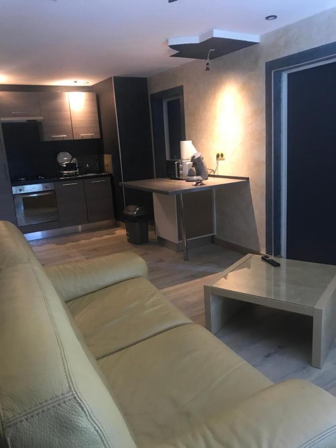 شقة ديسيزو  في F3 Bord De Loire Complet المظهر الخارجي الصورة