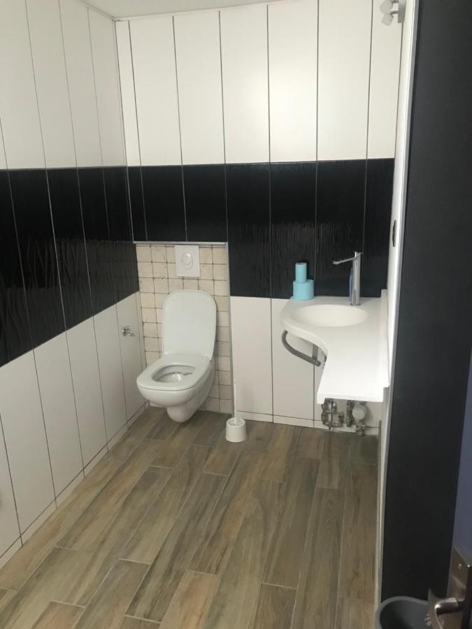 شقة ديسيزو  في F3 Bord De Loire Complet المظهر الخارجي الصورة